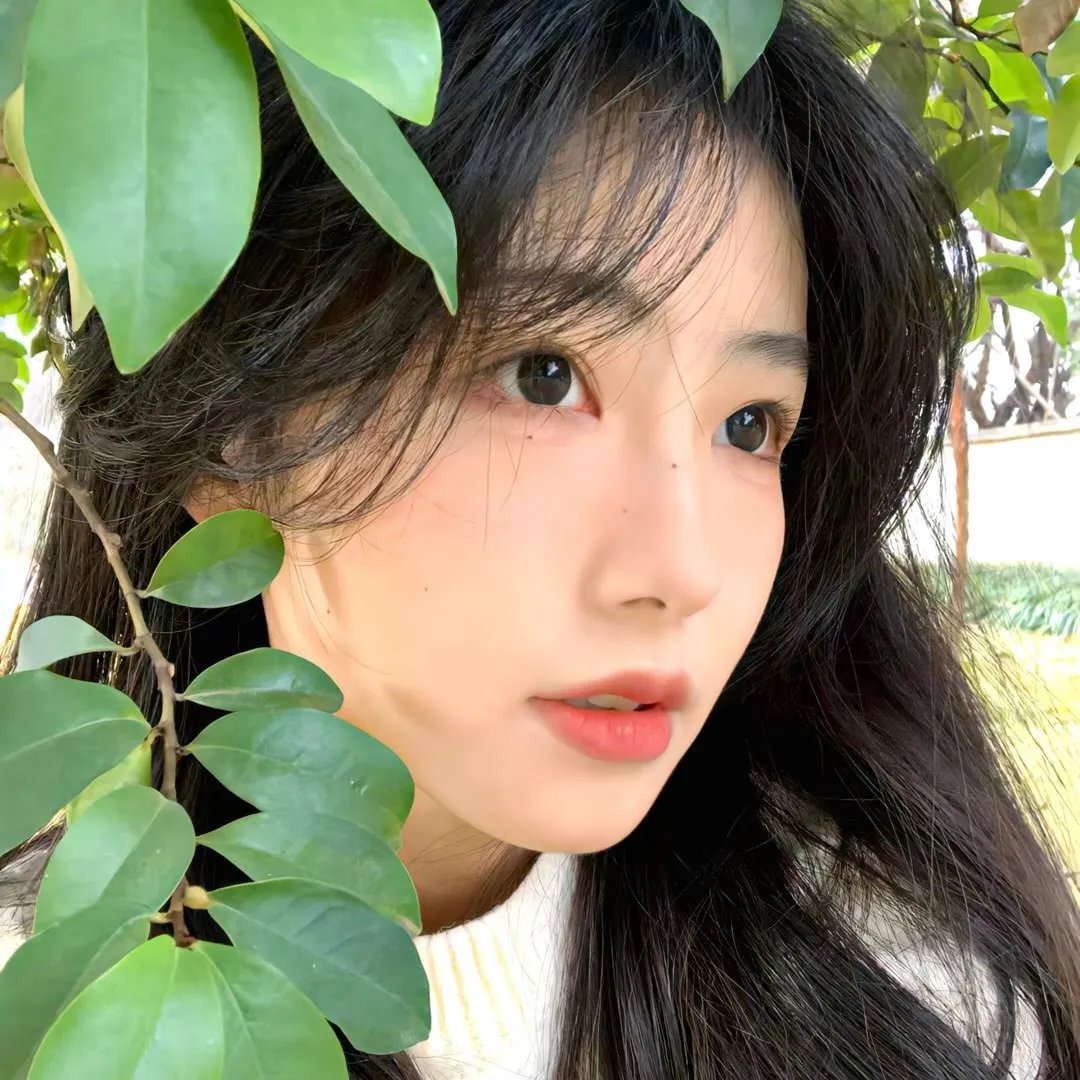 爱莉思的情书